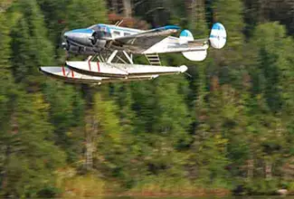 Showalter's Fly-In Service aircraft